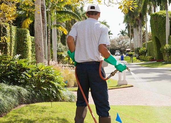 About Lorraine NY Pest Control